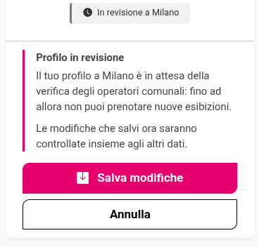 stato profilo revisione