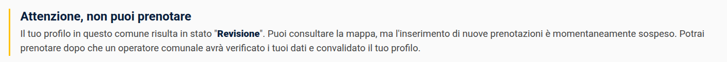 attenzione messaggio revisione