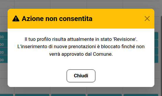 Messaggio Revisione
