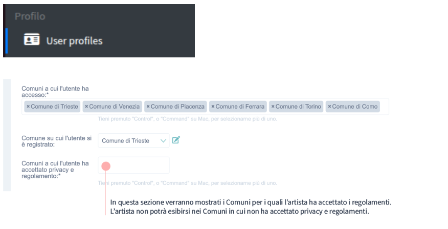 schermata user profile