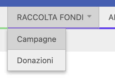 8. raccolta fondi.png